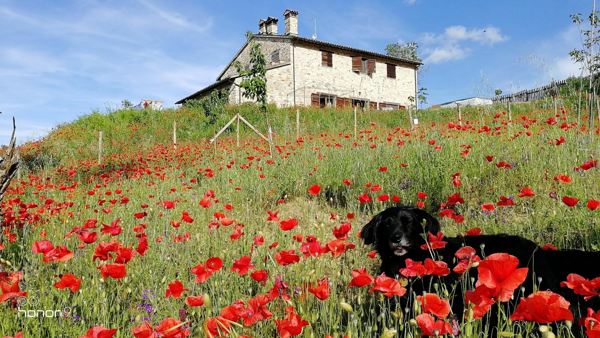Bed and Breakfast Casale Le Orme Todi Exterior foto